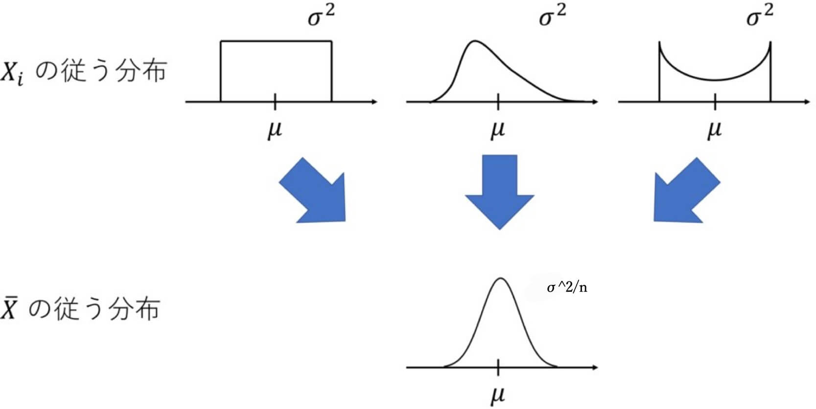 中心極限定理のイメージ図